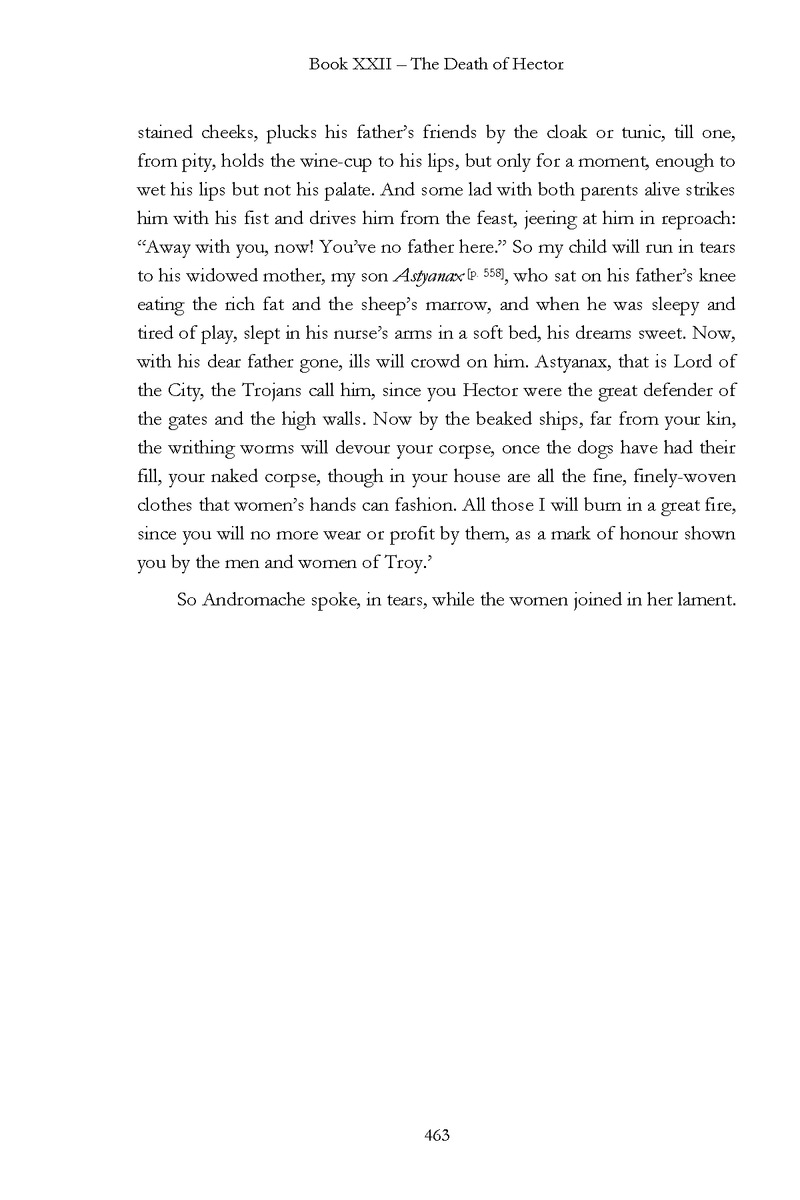 The Iliad - Page 457